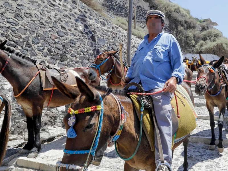 montar burros en Grecia
