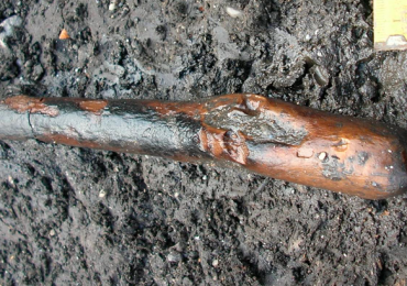 neandertales fuego herramientas