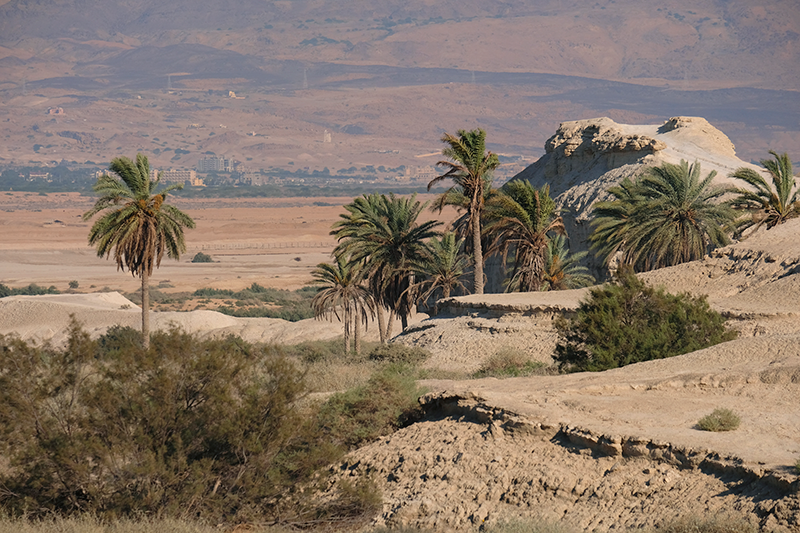 desierto Israel