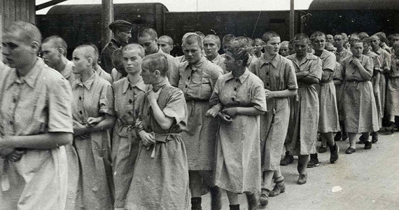 campo de concentración de Auschwitz.