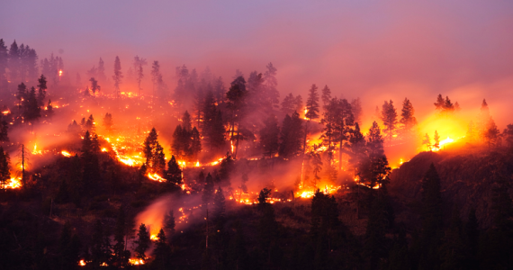 incendios forestales