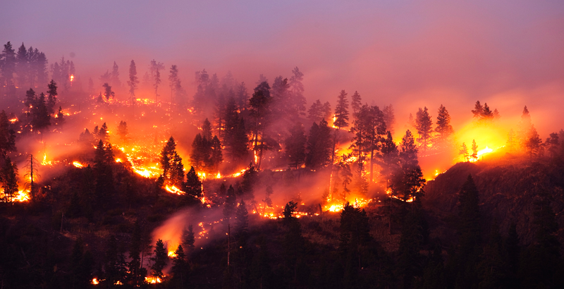 8 consejos para prevenir incendios forestales | National Geographic en  Español