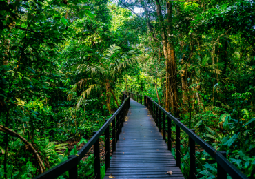 Costa Rica Parque Nacional Cahuita / Los beneficios de la naturaleza