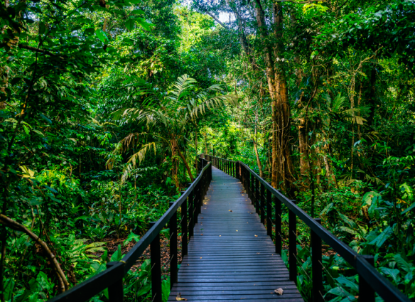 Costa Rica Parque Nacional Cahuita / Los beneficios de la naturaleza