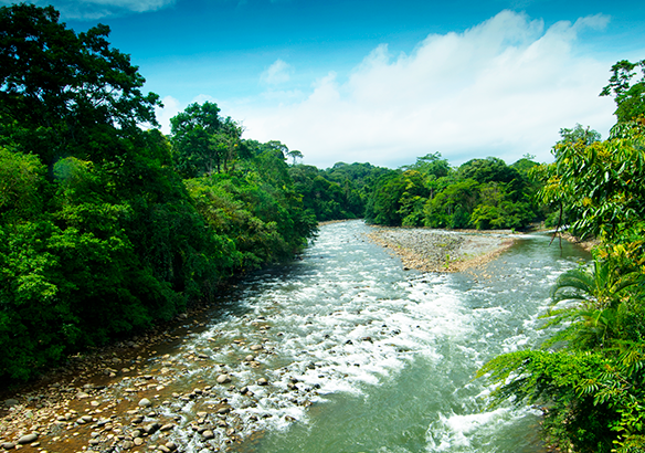 Costa Rica Archives - National Geographic en Español