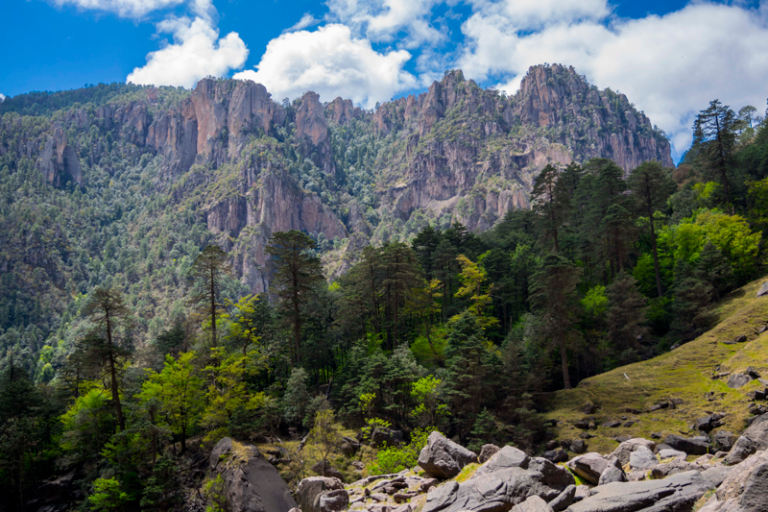 La Sierra Tarahumara es un tesoro de la biodiversidad en México