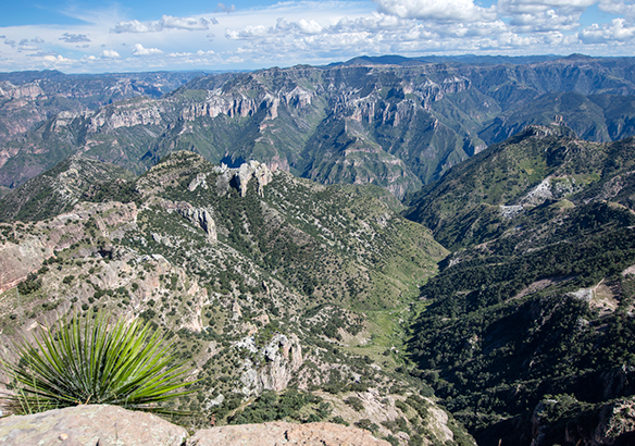 Sierra Tarahumara Archives - National Geographic en Español