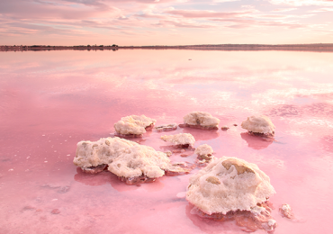 enigmática Laguna rosada