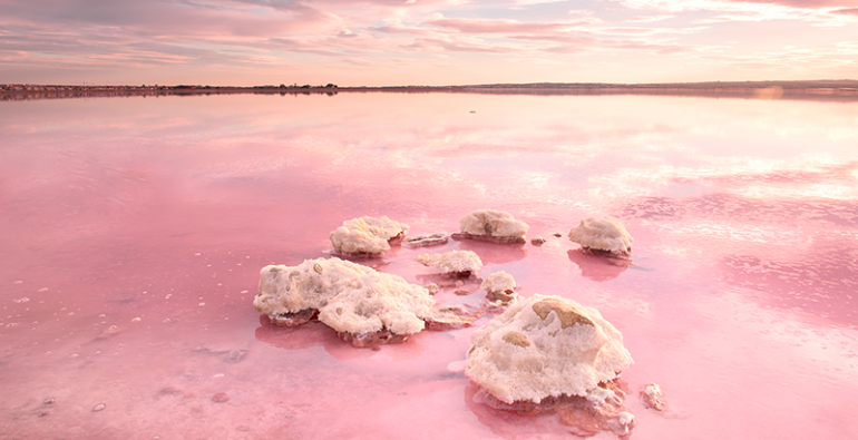 enigmática Laguna rosada