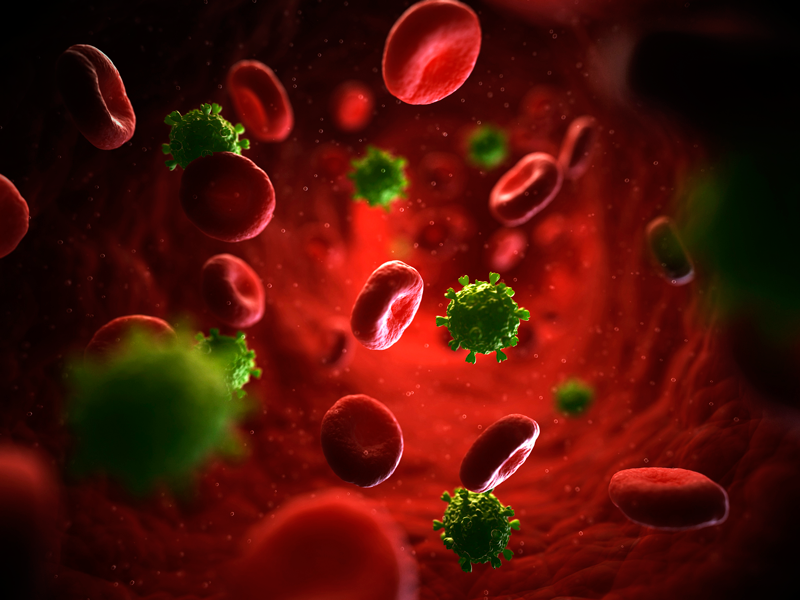 VIH Ratones células T Tratamiento
