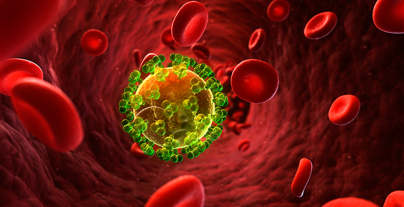 Confirman segundo paciente que se cura con VIH | National Geographic en  Español