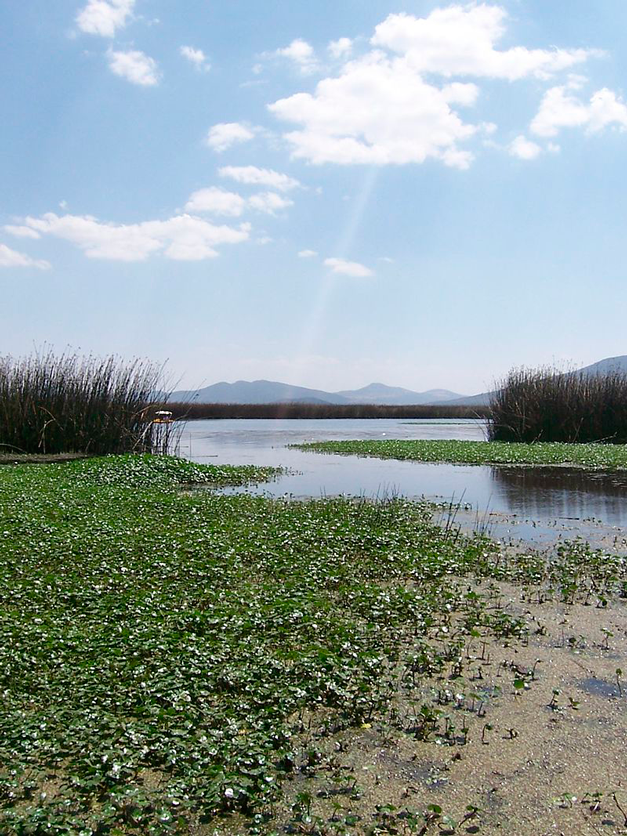 laguna de Tecocomulco