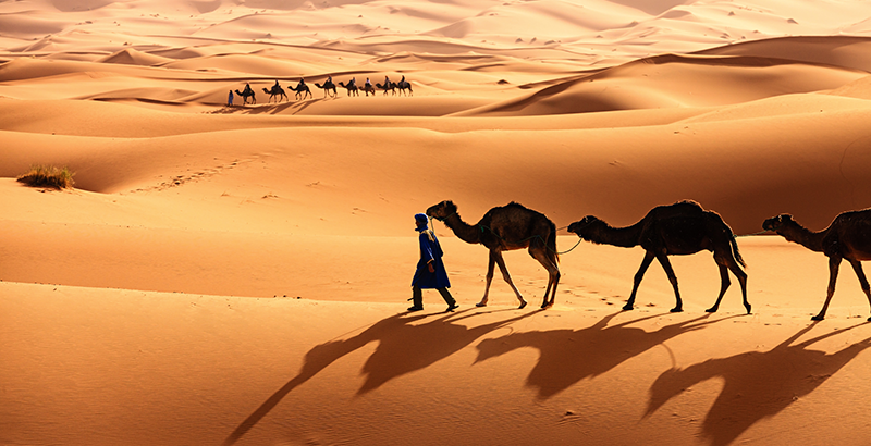 Un viaje de siete días por el Sahara | National Geographic en Español