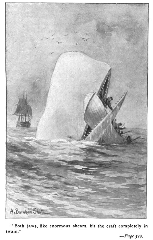Moby Dick Mocha Dick