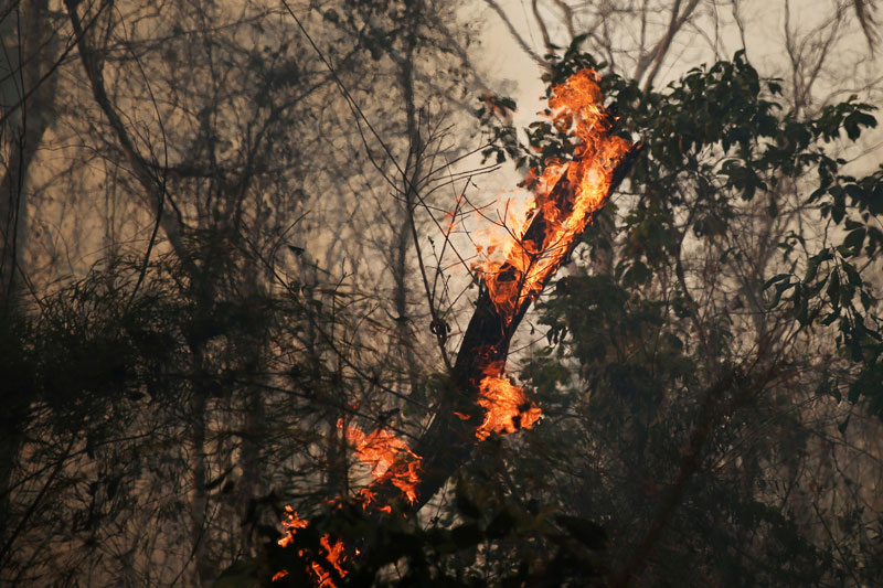 Bolivia incendios forestales