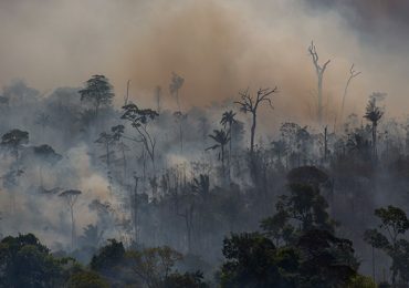Amazonía Incendios niños
