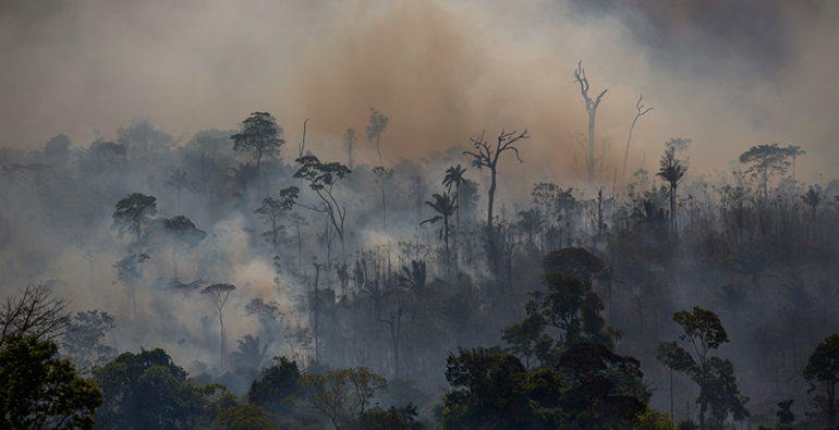 Amazonía Incendios niños