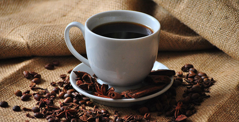 Acostumbrados a Remontarse Botánica 10 datos que debes saber sobre el café | National Geographic en Español