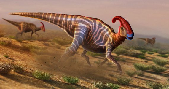 hadrosáuridos dinosaurio