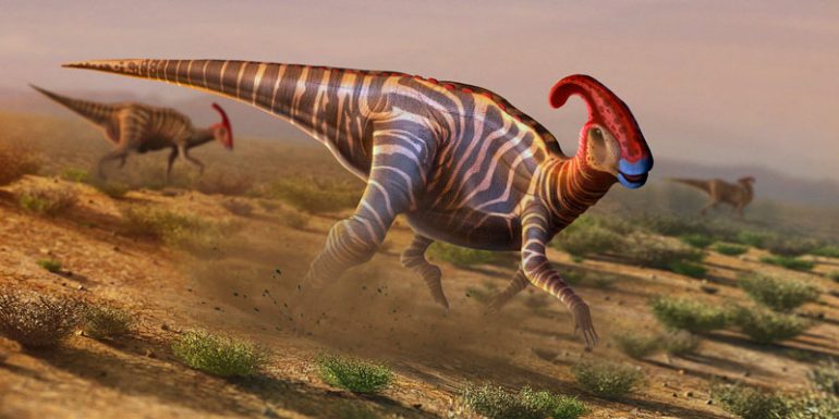 hadrosáuridos dinosaurio