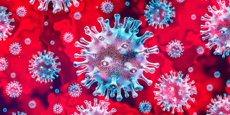 Los virus están vivos? ¿Qué son? - National Geographic en Español