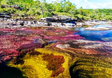 Caño Cristales río más hermoso del mundo Colombia