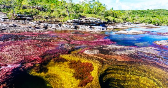 Caño Cristales río más hermoso del mundo Colombia
