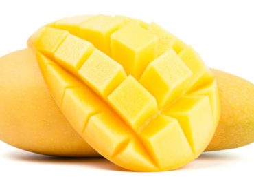 cáscara de mango IPN cicatrizantes