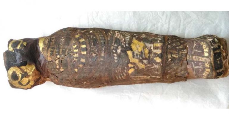 momia halcón feto humano Egipto