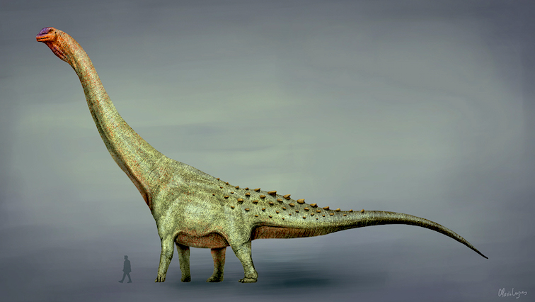 Así era el Patagotitan, la criatura más grande que ha pisado la Tierra |  National Geographic en Español