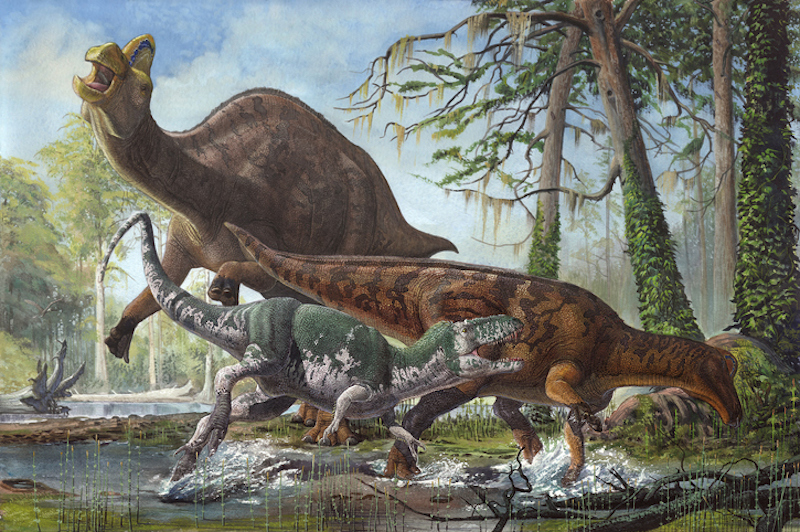 7 especies de dinosaurios que dominaron México | National Geographic en  Español