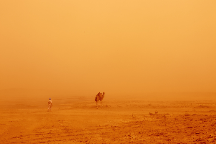 Qué es el viento venenoso que recorre año con año el Desierto del Sahara National Geographic