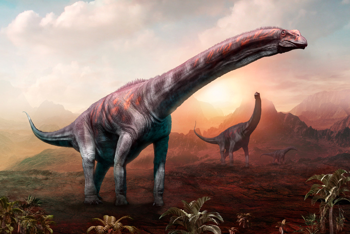 Descubren una nueva especie de dinosaurio en Argentina, el animal terrestre  más grande que jamás ha existido | National Geographic en Español