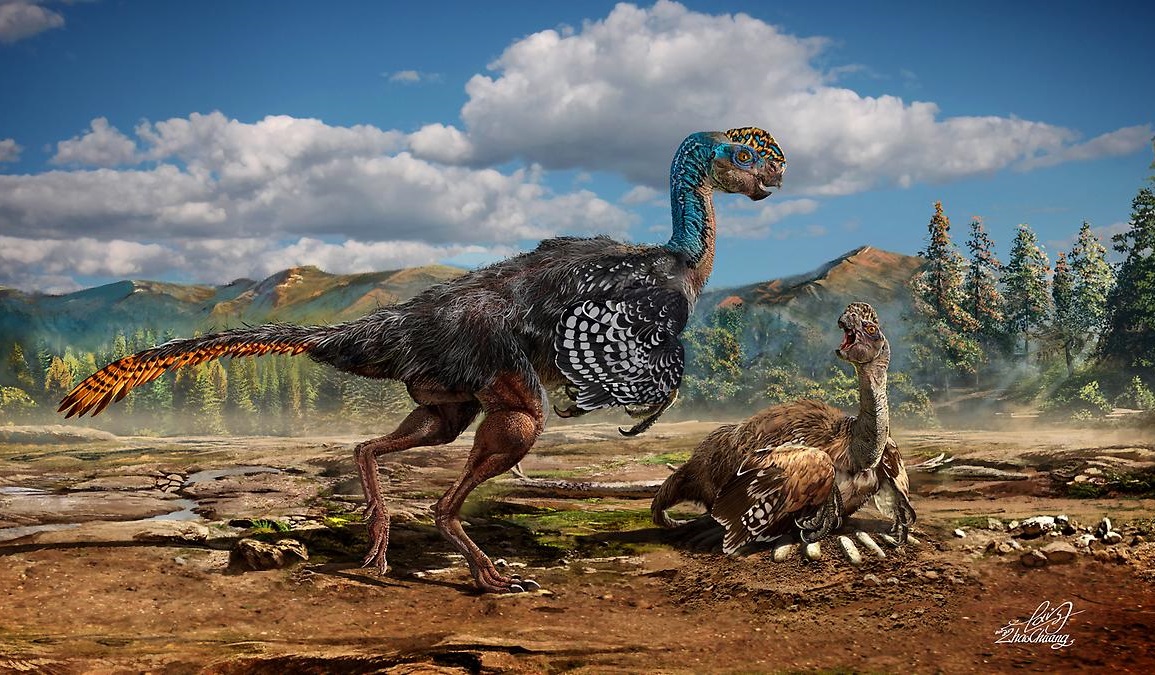 Encuentran los restos de un oviraptorosaurio sentado sobre su nido con sus  bebés fosilizados | National Geographic en Español