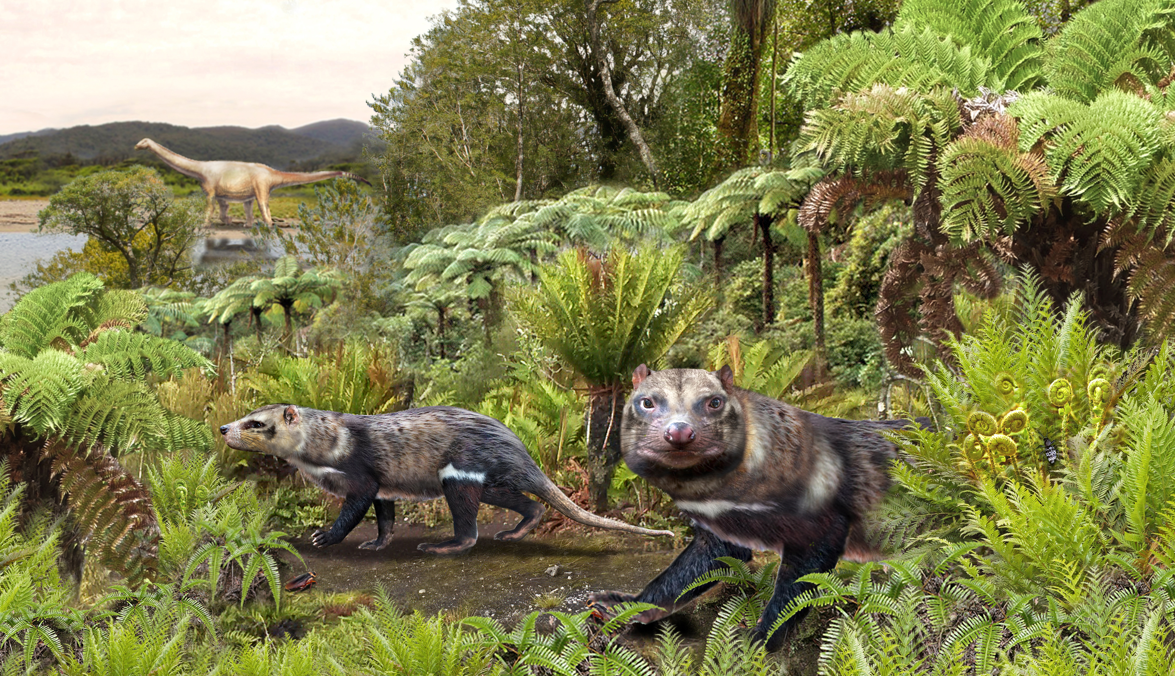 Así era la bestia de cinco dientes que vivió en Chile y Argentina al mismo  tiempo que los dinosaurios | National Geographic en Español
