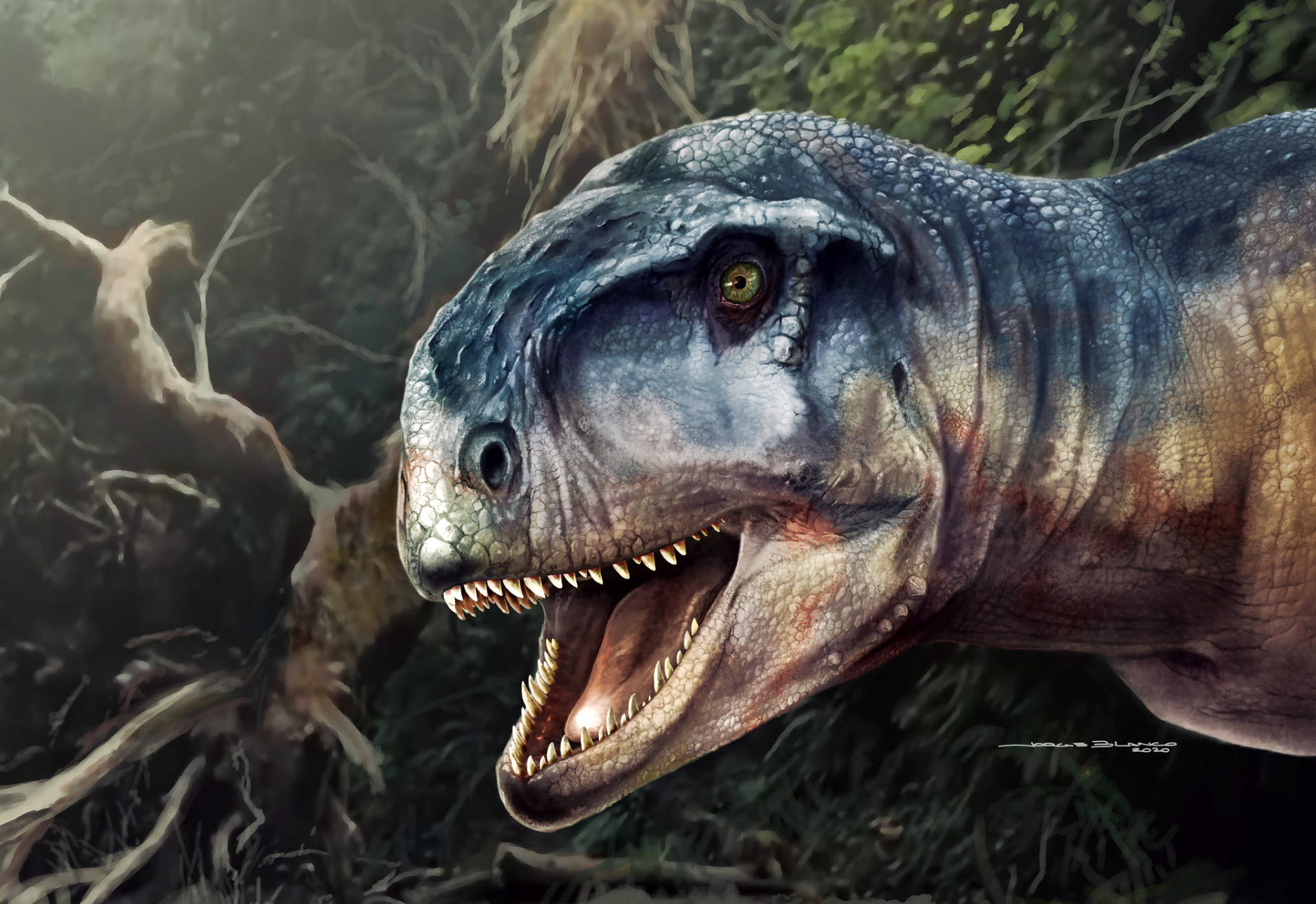 Así es el nuevo dinosaurio carnívoro descubierto en Latinoamérica |  National Geographic en Español