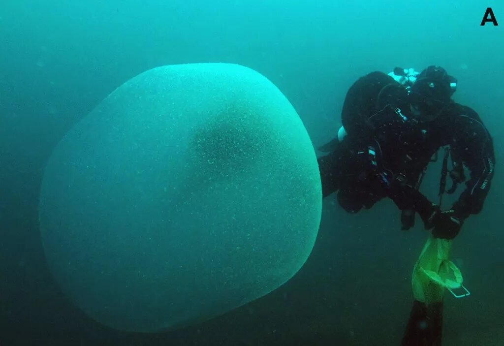 vacunación Caballero amable Mortal Resuelven el misterio de los globos marinos que aparecieron en las costas  de Noruega | National Geographic en Español