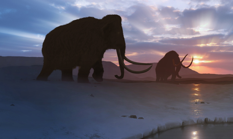 batalla de mamuts