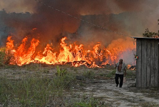incendios del Amazonas