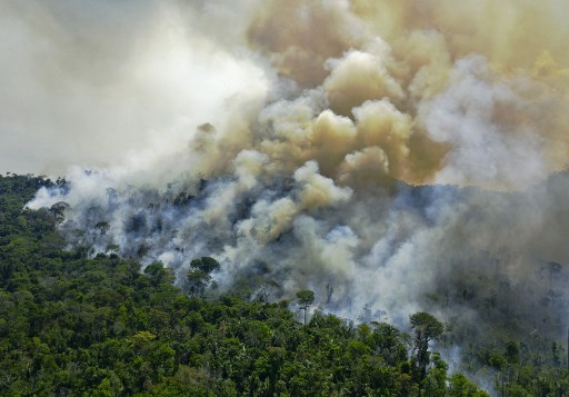incendios del Amazonas