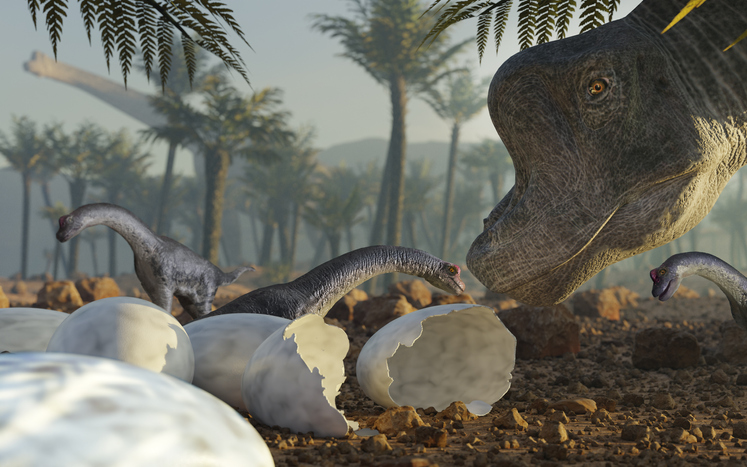 Descubren una «guardería» de dinosaurios en el de hace 70 de años | National Geographic en Español