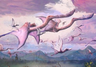 pterosaurios
