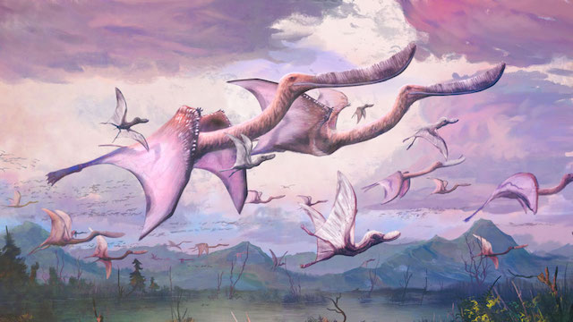 pterosaurios
