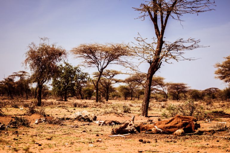 Madagascar hambruna cambio climático