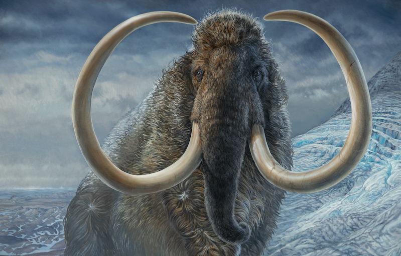 mamut viajero