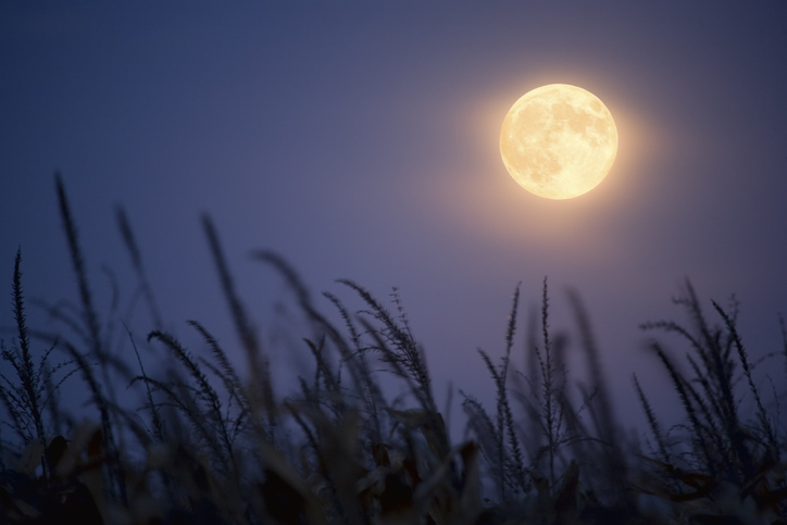 luna de maíz origen y como ver la ultima luna llena de septiembre