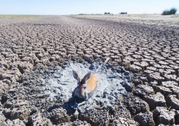 crisis del agua cambio climático