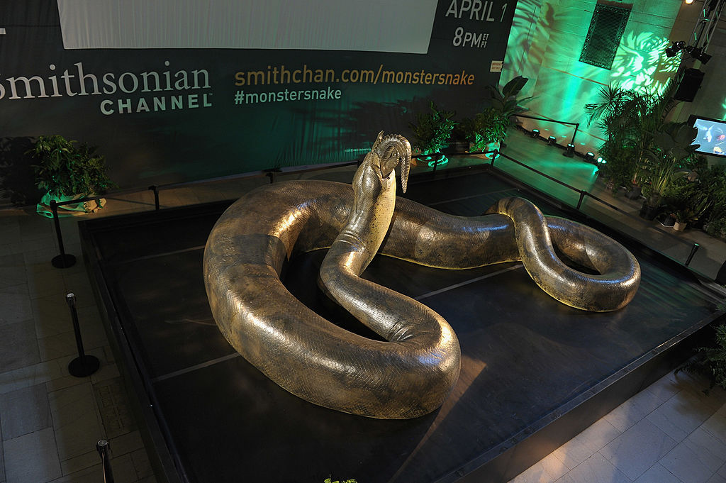 Titanoboa serpiente gigante