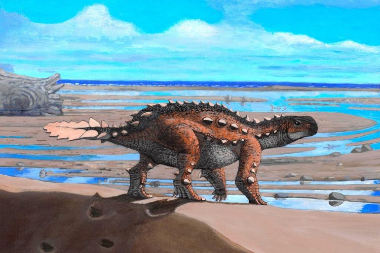 anquilosaurio con cola similar a garrote de los antiguos aztecas