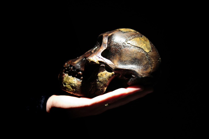 australopithecus huellas